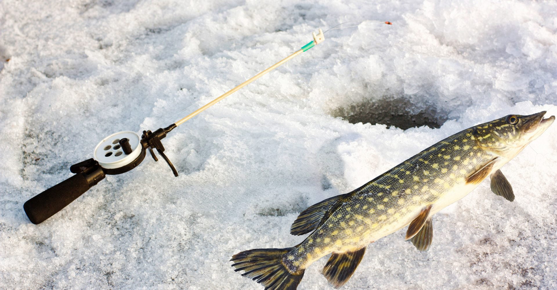 https://lotwicefishing.com/wp-content/uploads/caught-pike-fish-and-fishing-gear-on-ice-scaled-aspect-ratio-1920-999.jpg